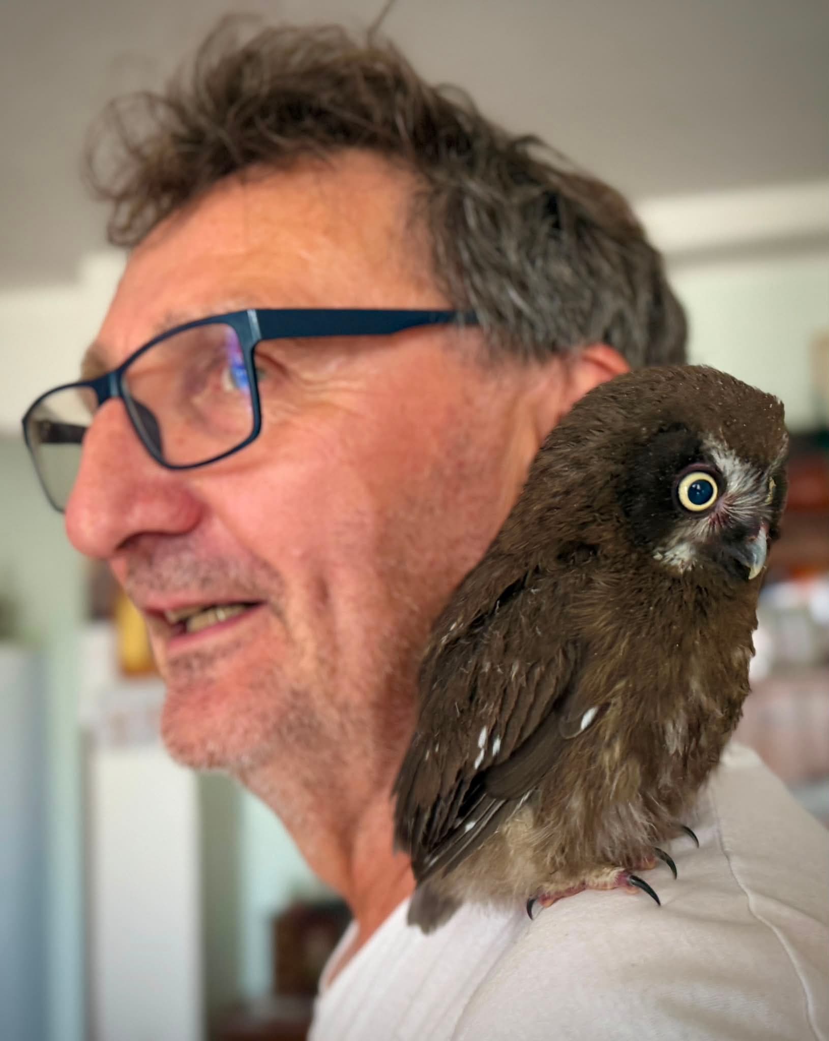 Gianfranco Villa di profilo, con un piccolo rapace notturno posato sulla spalla